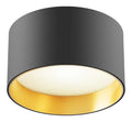 Spot de plafond Noir et Dore au style moderne avec conception fonctionnelle 3000K