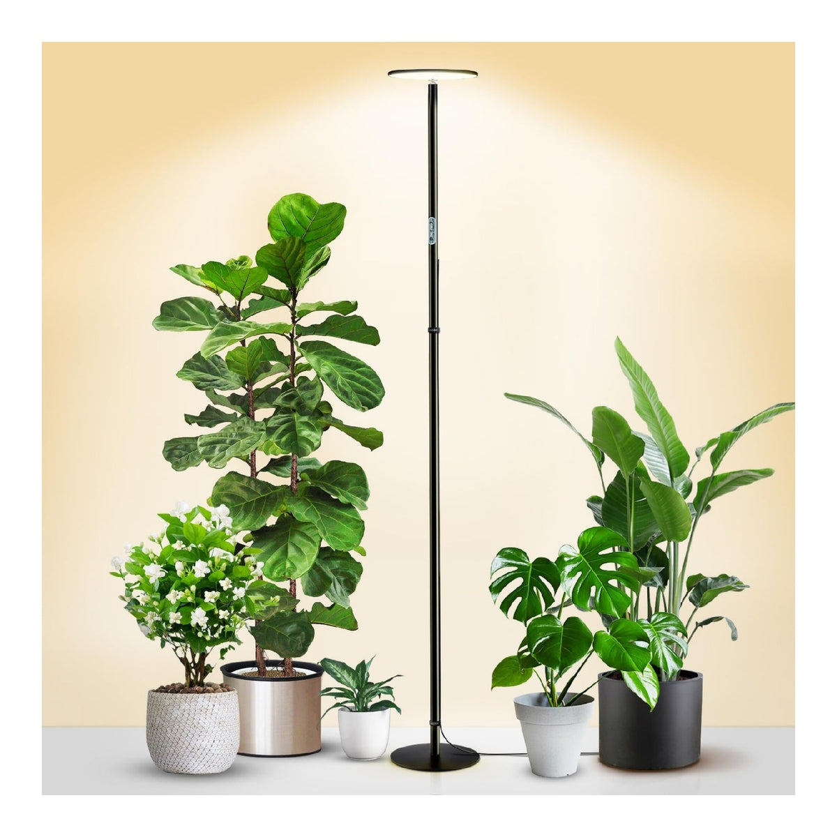 Lampes de croissance chiphy horticoles et d'interieur