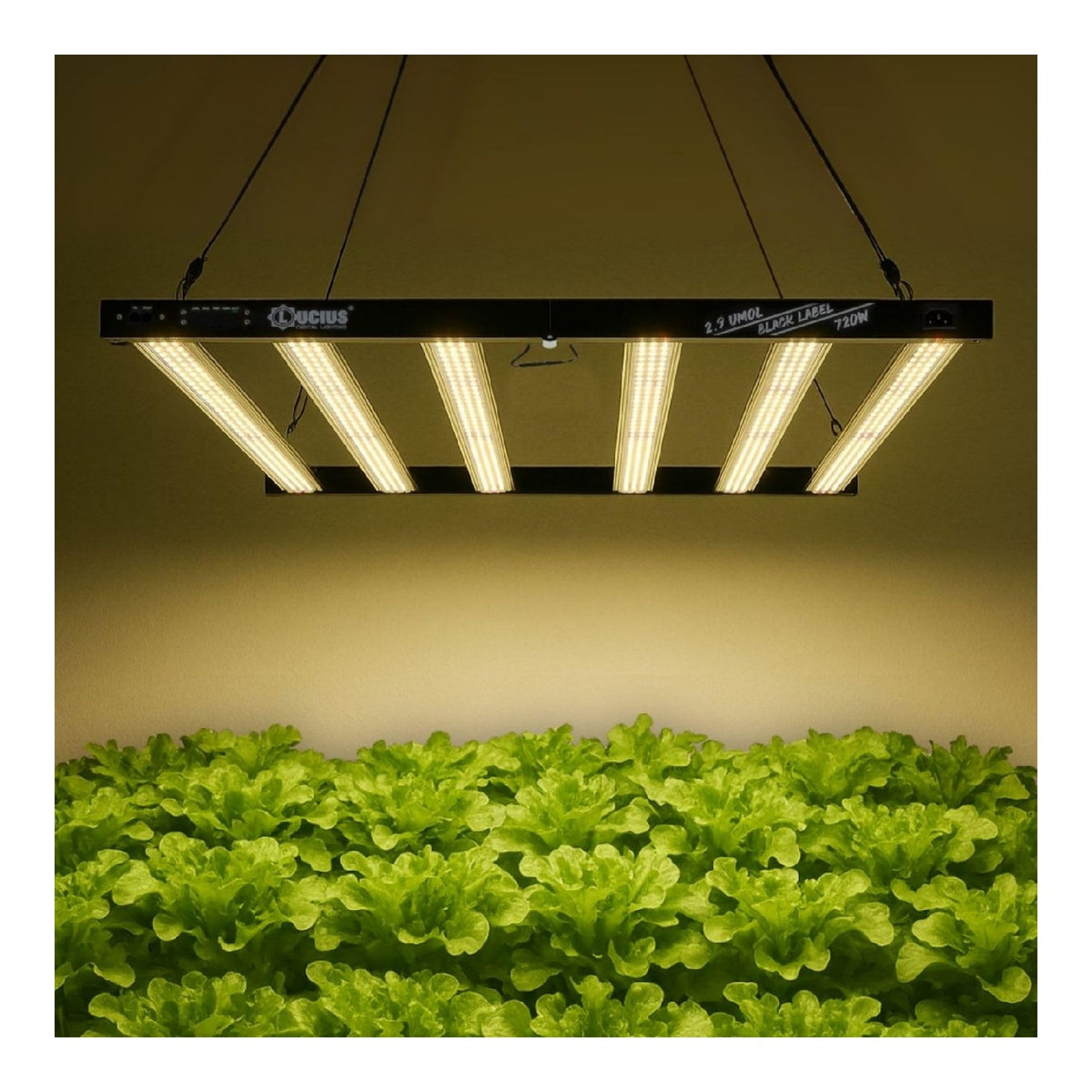 Lucius lumiere pour dispositifs d'eclairage de croissance de jardin